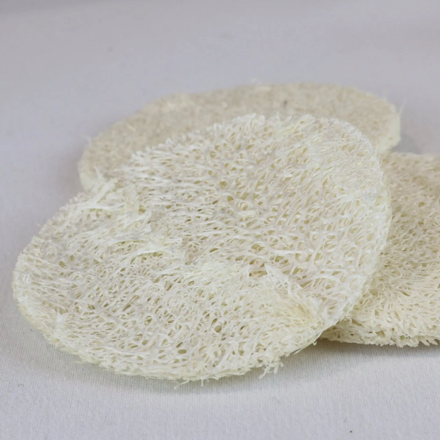 Loofah Discs